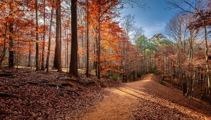 Obraz premium trails in late autumn near charlotte north carolina