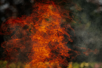 Bright orange flames dance vividly against a dark natural background, creating a dramatic contrast...