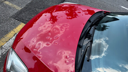 Car hood severely damaged by hail, showing multiple dents and surface imperfections caused by the...