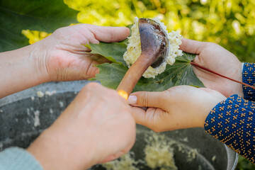 Traditional cheese is served on green maple leaves using a wooden spoon during an outdoor folk...