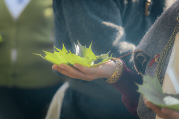 Traditional cheese is served on green maple leaves using a wooden spoon during an outdoor folk...