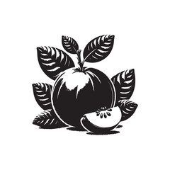 Guava Vector (3).eps