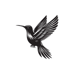 Fototapeta premium Humming Bird Vector (1).eps