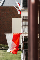 Polish flags flying on the balconies of the block of flats on a sunny day, symbolizing patriotism and a national holiday
