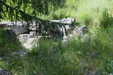 old stone in the park