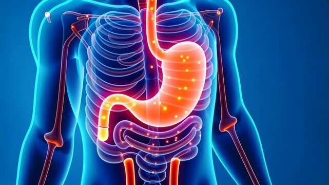 Pain dose, stomach ache, gastric relief. Digestive health. Stomach lining inflames from acidity. Antacids neutralize excessive stomach acid. Balanced diet improves digestive performance.