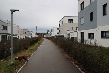 A dog is walking down a sidewalk in front of a row of houses