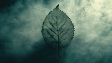 Leaf shadow through fog - macro texture concept background image for design abstract art or creative visual media projects
