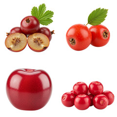 Red fruits including hawthorn and apples on white background  