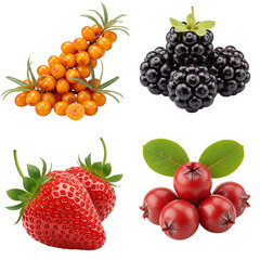 Fresh assorted berries including strawberries, sea buckthorn, and blackberries  