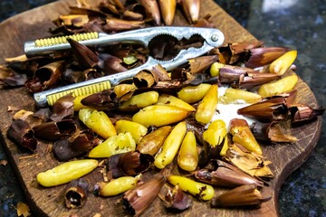 Roasted pinion, fruits of the Brazilian pine araucaria angustifolia, in rustic wood background and salt