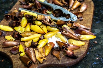 Roasted pinion, fruits of the Brazilian pine araucaria angustifolia, in rustic wood background and salt