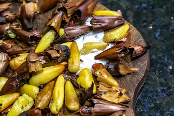 Roasted pinion, fruits of the Brazilian pine araucaria angustifolia, in rustic wood background and salt