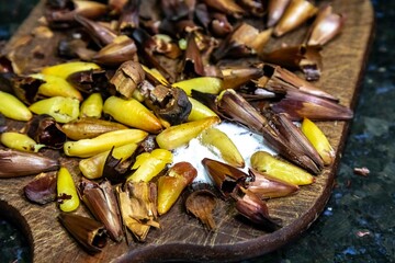 Roasted pinion, fruits of the Brazilian pine araucaria angustifolia, in rustic wood background and salt