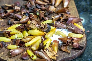 Roasted pinion, fruits of the Brazilian pine araucaria angustifolia, in rustic wood background and salt