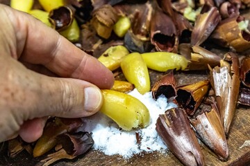 Roasted pinion, fruits of the Brazilian pine araucaria angustifolia, in rustic wood background and salt