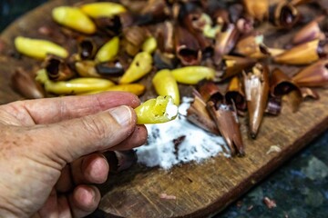 Roasted pinion, fruits of the Brazilian pine araucaria angustifolia, in rustic wood background and salt