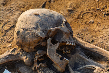 Sceleton in the cemetery of the medieval monastery in Peternmonostora