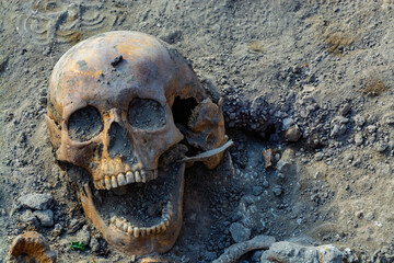 Sceleton in the cemetery of the medieval monastery in Peternmonostora