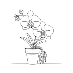 Phalaenopsis orchid in line art design with simple black outline  