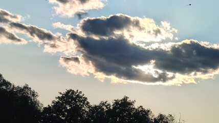 beautiful sunset in the forest © MARIA – Nature