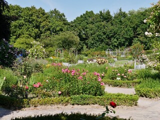 Rosengarten in Planten un Blomen