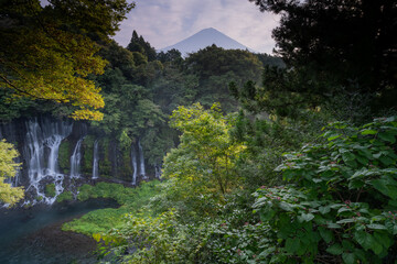 白糸の滝と木々の向こうにそびえる富士山（静岡県・日本）：Shiraito Falls...