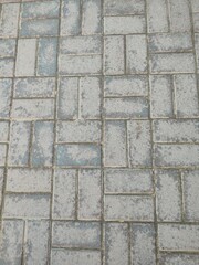 A road tile with wild plants sprouting between the tiles