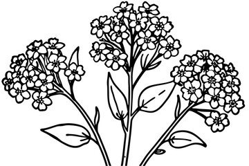 Black and white floral seamless pattern with plant leaf and flower drawing vector illustration