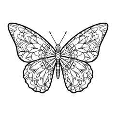 butterfly vector illustration. mandala style