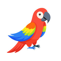 Parrot: The Colorful Birds of the Tropics
