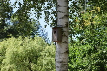 bird house on tree