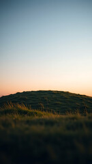 Obraz premium Rounded Grassy Knoll at Dusk Under Soft Light vertical