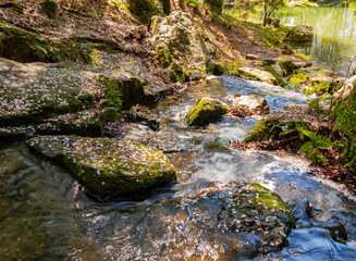 Sunny and beautiful natural landscape with cherry pedal on rocks around Garvan Woodland Gardens
