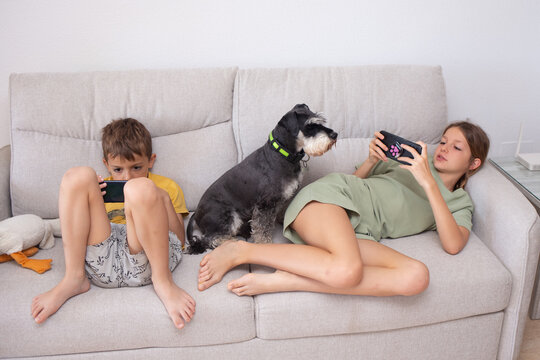 Children enjoy mobile games while a bored dog sits beside them on a couch