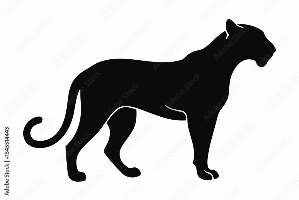 Poster silhouette of a black panther standing with a curled tail on a white background in a vector graphic 