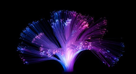 Vibrant Fiber Optics Display Against a Black Background