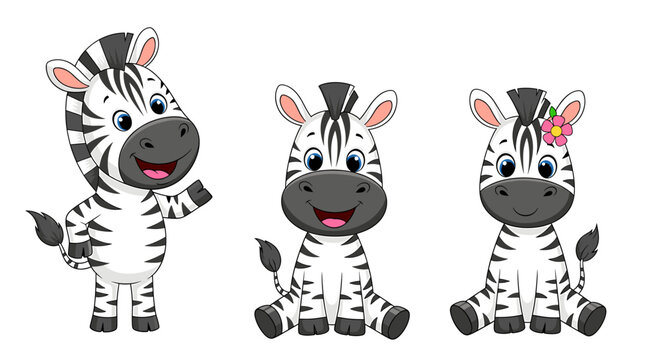 Cartoon zebra characters collection
