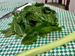 Fresh Chard Being Prepared on Green Tablecloth