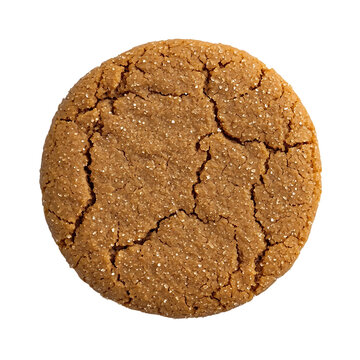 A single round ginger cookie with a cracked, golden-brown surface