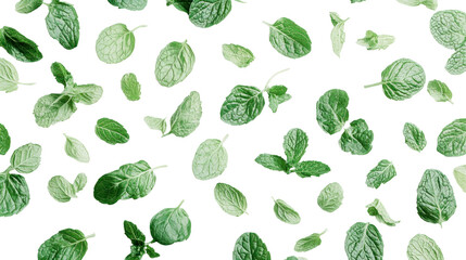 Fresh Green Mint Leaves on Black Background for Culinary and Decorative Use in High-Quality Stock Imagery