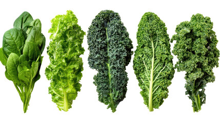 Fresh Leafy Greens for Healthy Diet Choices, Including Spinach, Lettuce, Kale, and More in High-Quality Image
