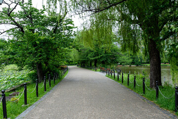 Fototapeta premium Path in the park in Japan.