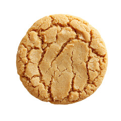 A single golden-brown peanut butter cookie with a cracked surface texture