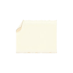 Torn Paper Texture: Blank Note for Design Projects