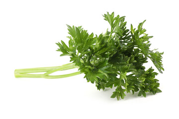 Sprig of fresh parsley isolated on white