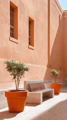 Orange wall with two potted plants and wooden bench in sunlight