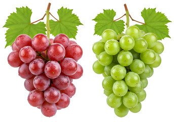 Fototapeta premium Grapes with leaves and water isolated on white or transparent background. PNG