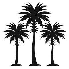 Silhouettes of three tropical palm trees against a clean white background for design.