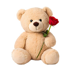 Obraz premium The shy teddy bear holding single red rose want to give for someone on a transparent background